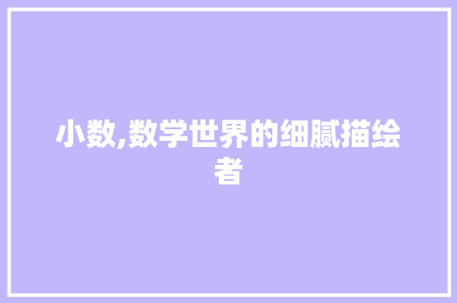 小数,数学世界的细腻描绘者