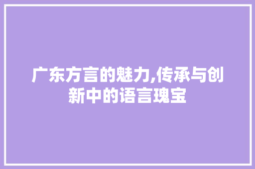 广东方言的魅力,传承与创新中的语言瑰宝