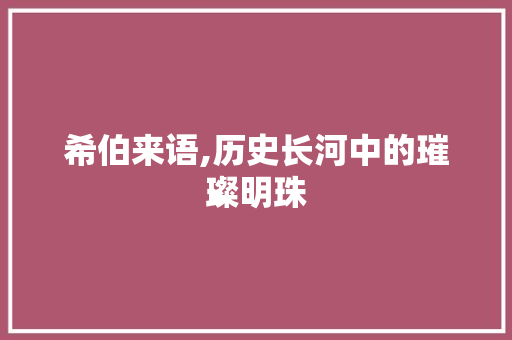 希伯来语,历史长河中的璀璨明珠 神马SEO