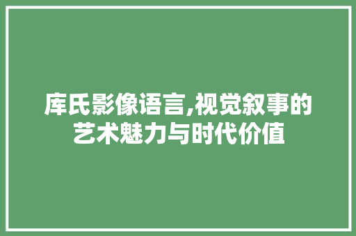 库氏影像语言,视觉叙事的艺术魅力与时代价值