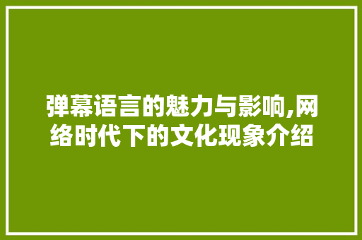 弹幕语言的魅力与影响,网络时代下的文化现象介绍