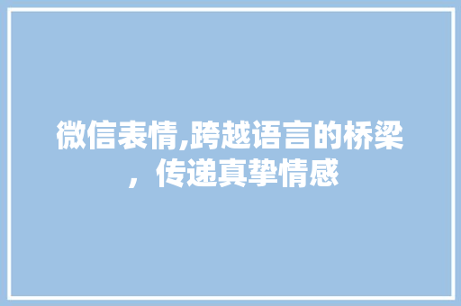 微信表情,跨越语言的桥梁，传递真挚情感