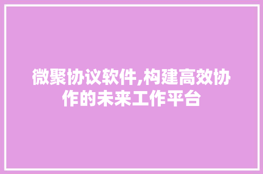 微聚协议软件,构建高效协作的未来工作平台