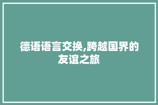 德语语言交换,跨越国界的友谊之旅