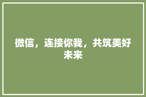 微信，连接你我，共筑美好未来 神马SEO