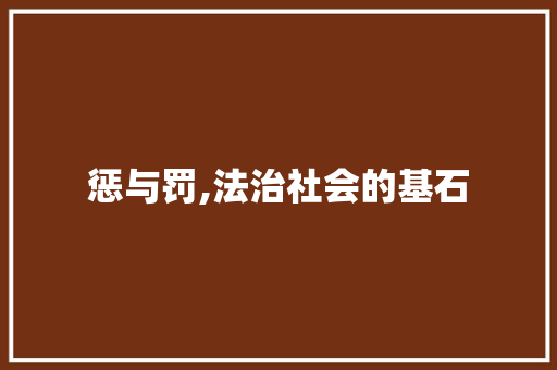 惩与罚,法治社会的基石