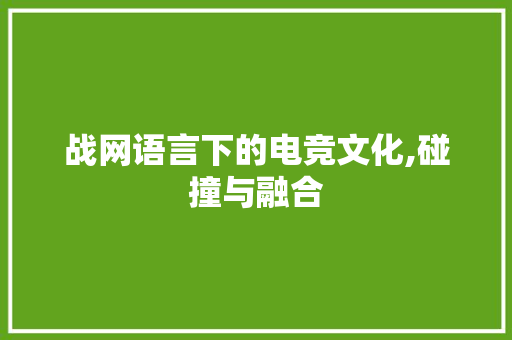 战网语言下的电竞文化,碰撞与融合