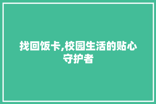 找回饭卡,校园生活的贴心守护者