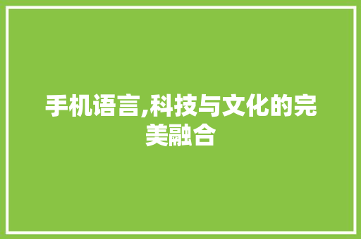 手机语言,科技与文化的完美融合