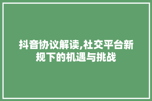 抖音协议解读,社交平台新规下的机遇与挑战