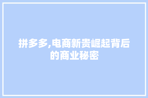拼多多,电商新贵崛起背后的商业秘密
