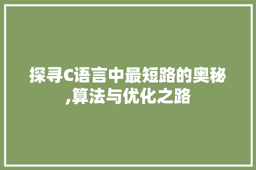 探寻C语言中最短路的奥秘,算法与优化之路