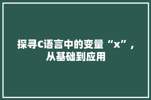 探寻C语言中的变量“x”,从基础到应用