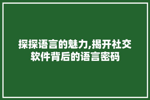 探探语言的魅力,揭开社交软件背后的语言密码