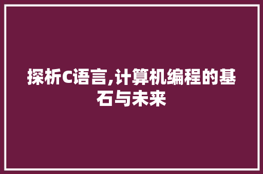 探析C语言,计算机编程的基石与未来