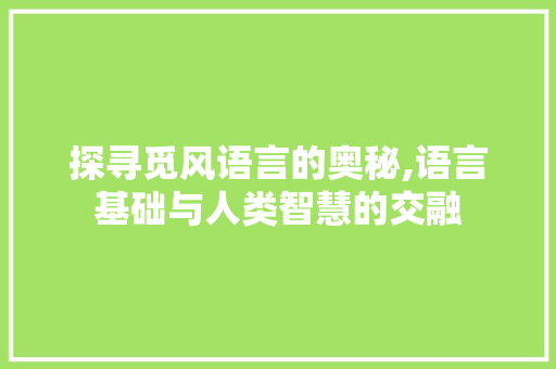 探寻觅风语言的奥秘,语言基础与人类智慧的交融