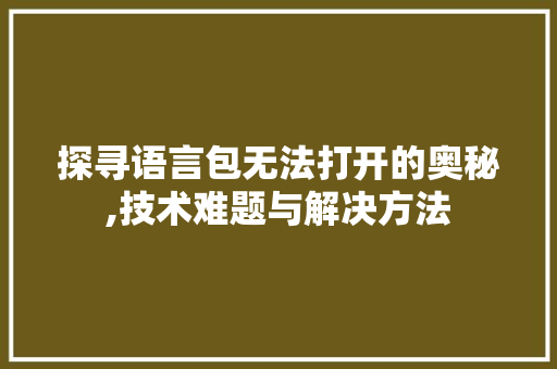探寻语言包无法打开的奥秘,技术难题与解决方法
