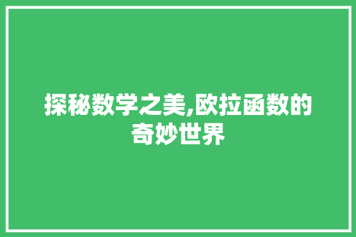 探秘数学之美,欧拉函数的奇妙世界