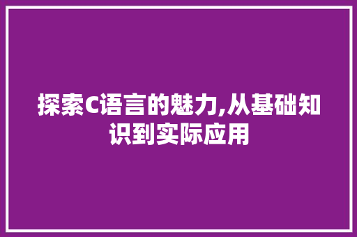 探索C语言的魅力,从基础知识到实际应用 SEO关键词