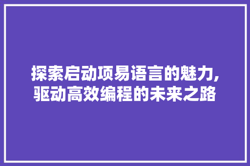 探索启动项易语言的魅力,驱动高效编程的未来之路 必应SEO