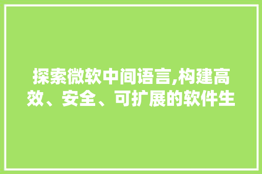 探索微软中间语言,构建高效、安全、可扩展的软件生态系统