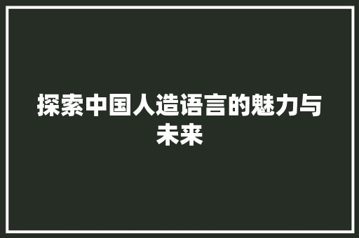 探索中国人造语言的魅力与未来