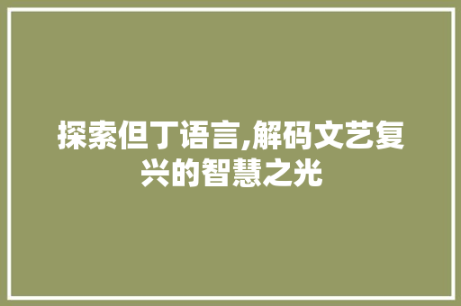 探索但丁语言,解码文艺复兴的智慧之光
