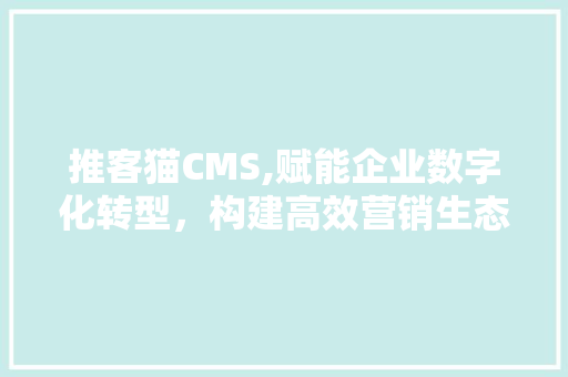 推客猫CMS,赋能企业数字化转型，构建高效营销生态 网站建设公司
