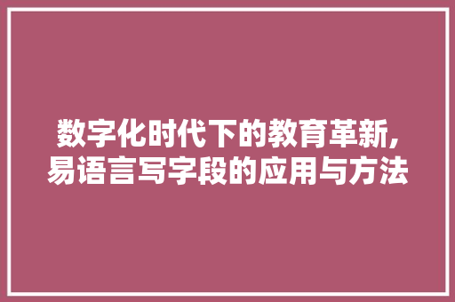 数字化时代下的教育革新,易语言写字段的应用与方法