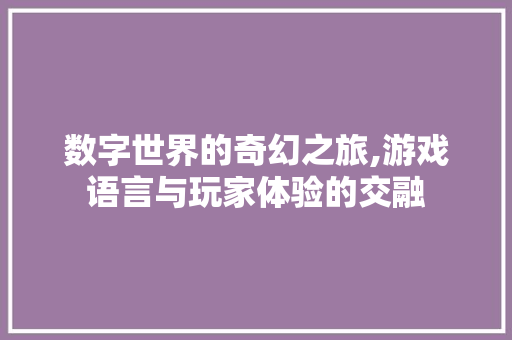 数字世界的奇幻之旅,游戏语言与玩家体验的交融