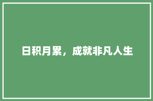 日积月累，成就非凡人生