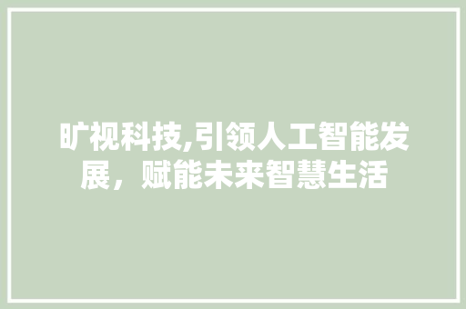 旷视科技,引领人工智能发展，赋能未来智慧生活