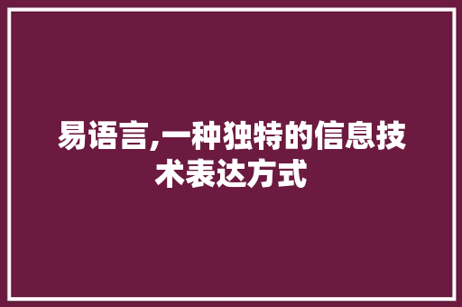 易语言,一种独特的信息技术表达方式
