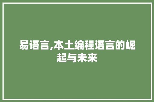 易语言,本土编程语言的崛起与未来