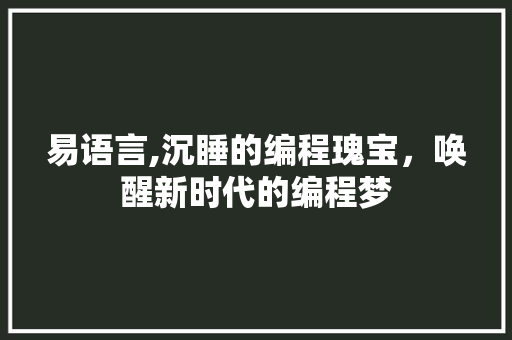 易语言,沉睡的编程瑰宝，唤醒新时代的编程梦