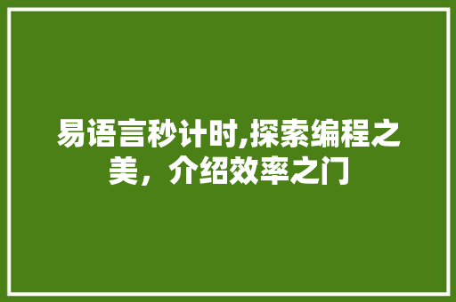 易语言秒计时,探索编程之美，介绍效率之门