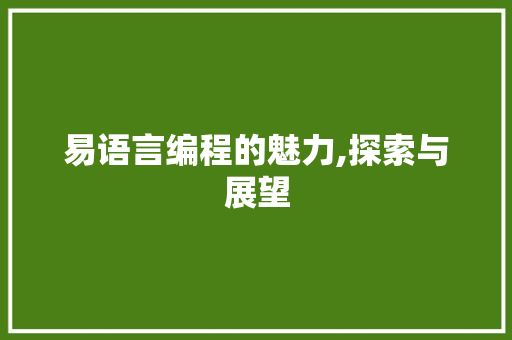 易语言编程的魅力,探索与展望