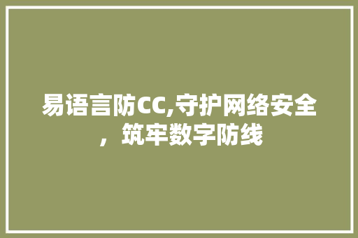 易语言防CC,守护网络安全，筑牢数字防线
