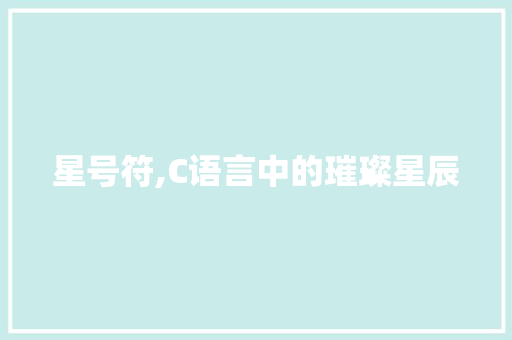 星号符,C语言中的璀璨星辰
