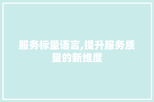 服务标量语言,提升服务质量的新维度