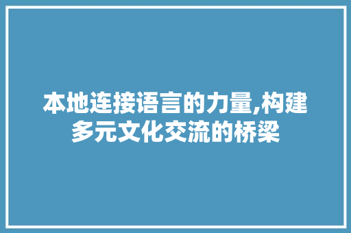 本地连接语言的力量,构建多元文化交流的桥梁 必应SEO