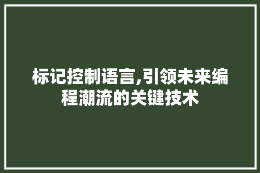 标记控制语言,引领未来编程潮流的关键技术