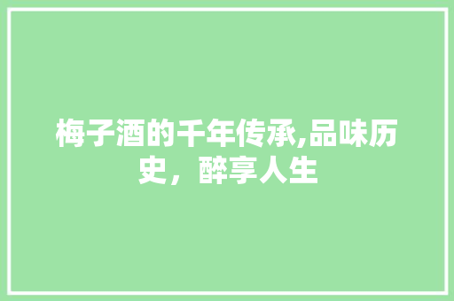 梅子酒的千年传承,品味历史，醉享人生