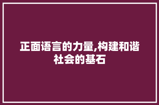 正面语言的力量,构建和谐社会的基石