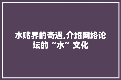 水贴界的奇遇,介绍网络论坛的“水”文化