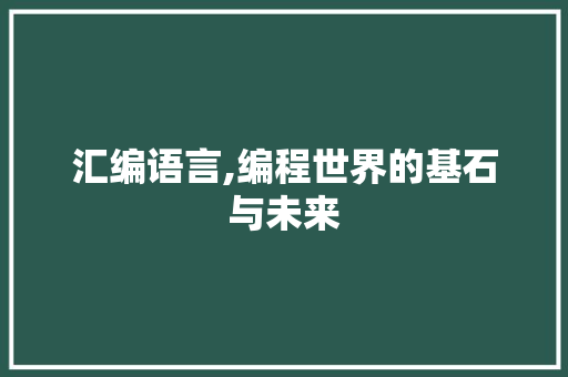 汇编语言,编程世界的基石与未来