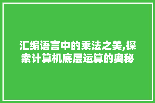 汇编语言中的乘法之美,探索计算机底层运算的奥秘