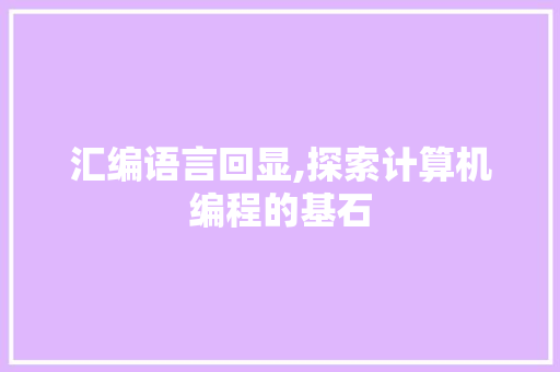 汇编语言回显,探索计算机编程的基石