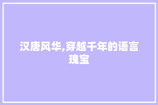 汉唐风华,穿越千年的语言瑰宝 百度SEO