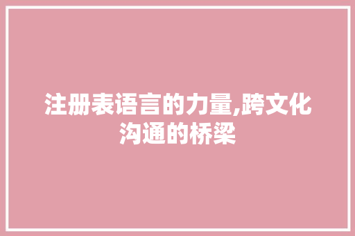 注册表语言的力量,跨文化沟通的桥梁 网站建设公司